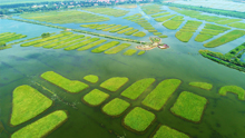 Ecological Protection for Wetland Where Tang River Joins Baiyang Lake