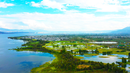 Ecological Restoration Design of Erhai Lake Riparian Buffer Zone Demonstration Section